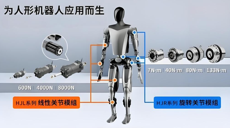 人形機器人關節驅動電機部位展示圖